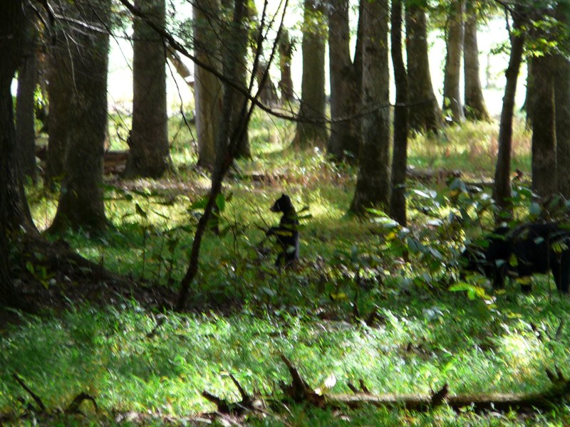 image07